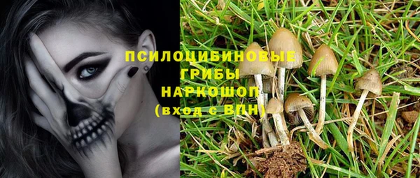 метадон Лагань