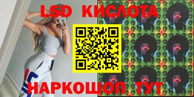 прущие крисы Камышлов