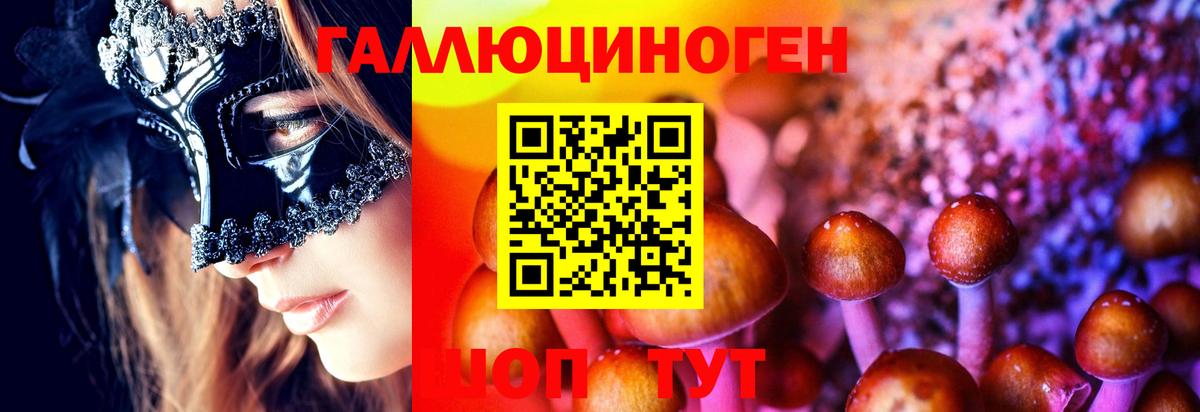 Псилоцибиновые грибы мицелий  Вход с VPN  Элиста 