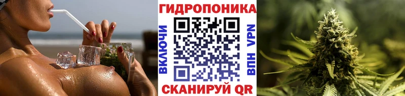 Канабис VHQ  продажа наркотиков  Элиста 